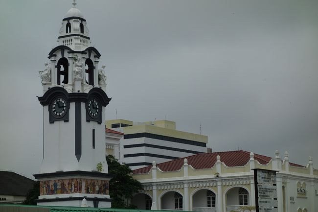 白が基調。きれいですね。