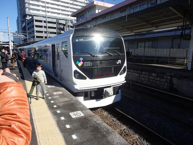横コツ様専用 鉄道 スタフ 初詣臨 7行路