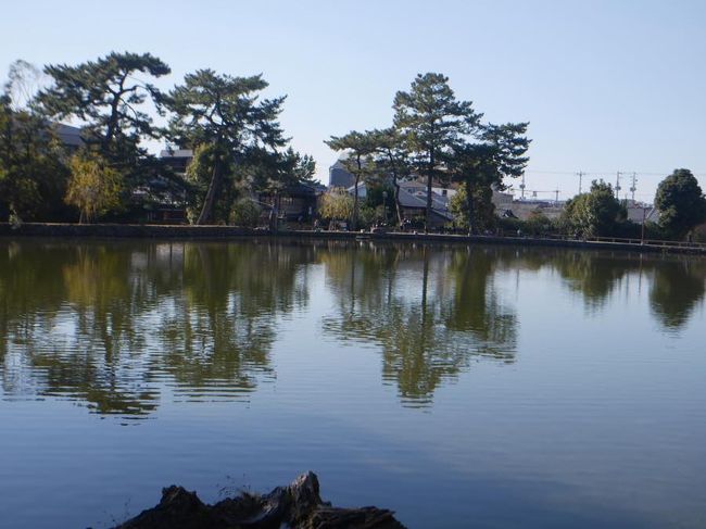 そうして、テクテク奈良公園の方へ。