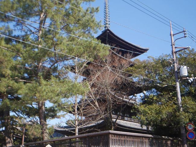 興福寺が見えてきました！