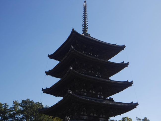 どーん！<br />大きくてカメラに収まりません。。。