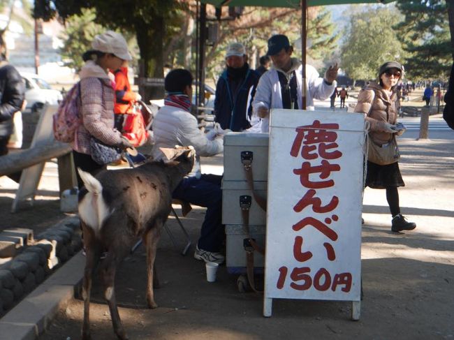 鹿せんべいは150円。<br />値上げしましたねー！<br />20数年前より・・・（笑）
