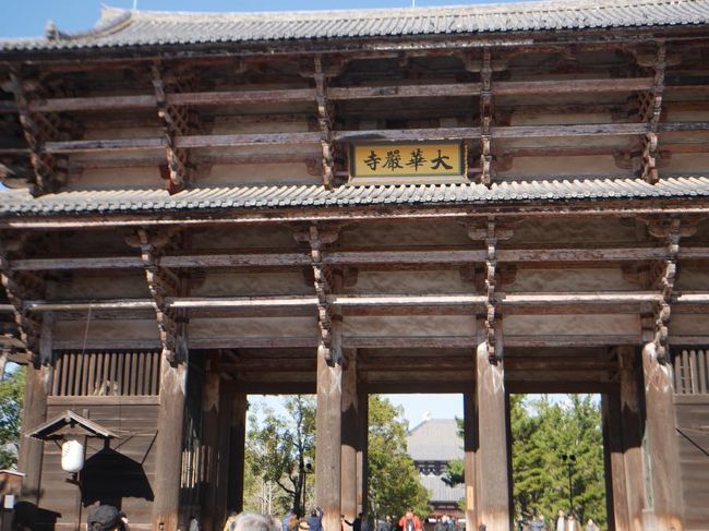 さーー！<br />大仏さんのところまであと少し！