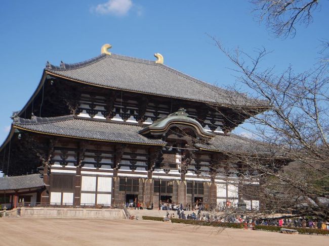東大寺が見えてきました。