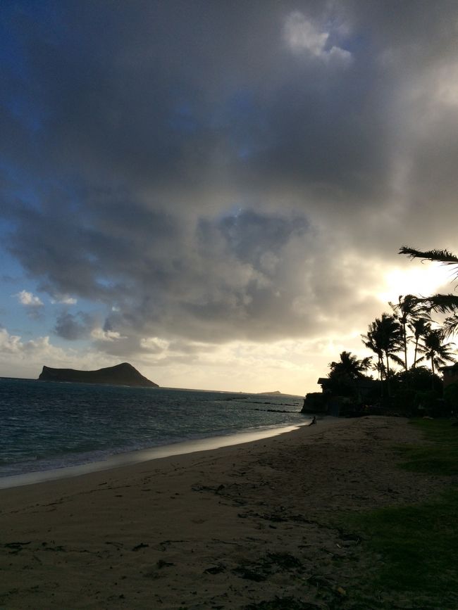前回思いの外大変だった、、マカプウ岬を通り越して、、<br /><br />最初の目的地は〜