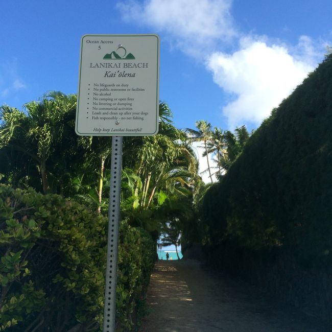 この細い路地が住宅街の中に何本かあって、ここを抜けると、、<br /><br />パパ、娘毎回ウキウキ。。笑