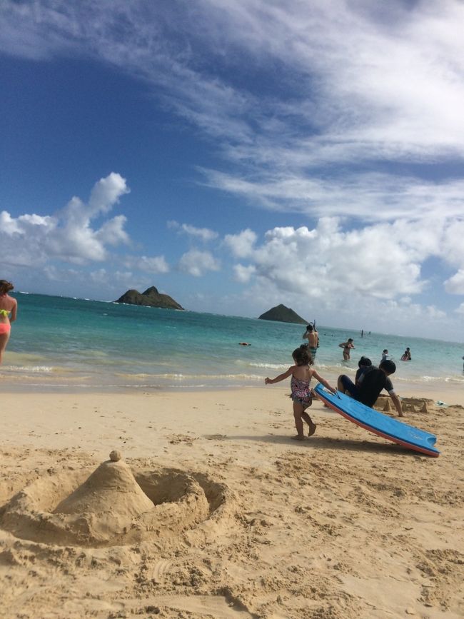 のんびりしてると、目の前をこのおちびちゃんが行ったり来たり。笑<br />めっちゃ可愛くてしばらく見とれてしまった〜笑