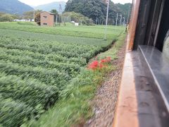 静岡らしい茶畑の中を走りました。

新金谷駅でトーマス号終点。ここにもトーマス会場があるのですが，帰りの新幹線まで時間がないので残念ながら寄れませんでした。
買い忘れていたお土産だけ買って，金谷駅までもどり，JRに乗り換えて浜松駅から新幹線にのって帰りました。

大人もとても楽しい旅でしたが，時刻表に追われて慌ただしい感じもありました。
子連れ旅の割によくばりすぎたかもしれません。