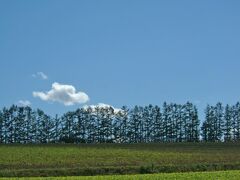 マイルドセブンの丘

美瑛の素晴らしい風景を堪能しました。