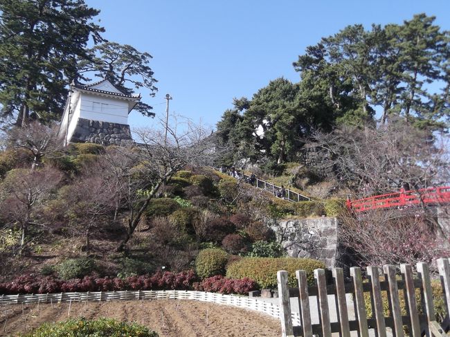 天守閣に入れずに、城の周りをまわりを歩いて我慢。<br /><br />