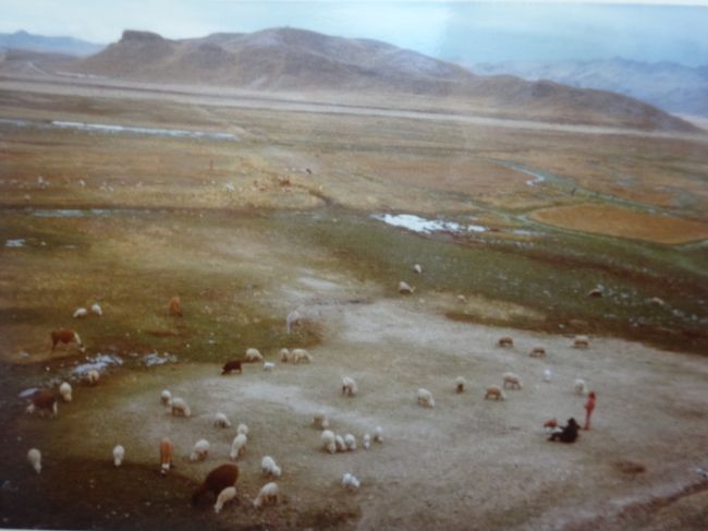 アンデスの大平原