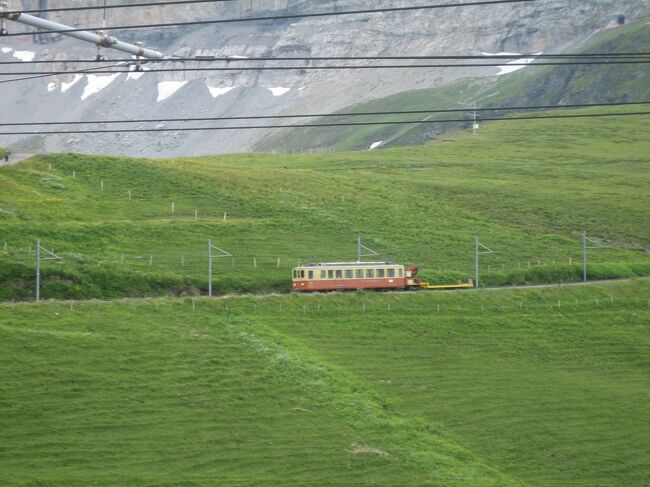 　展望台から下ってきた登山電車です。<br />　見てのとおり、貨物用の貨車が付いています。