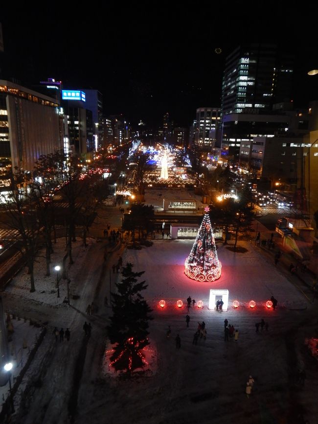 この景色です。<br />十分きれいですが、やはり90mの高さの展望台に上ることにします。<br /><br />720円（赤れんが庁舎でゲットした割引券使って640円）です。<br />混んでいなかったので2人だけですぐにエレベーター発車。<br />