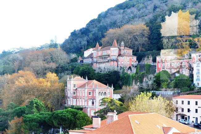 白鳥の間から外の風景