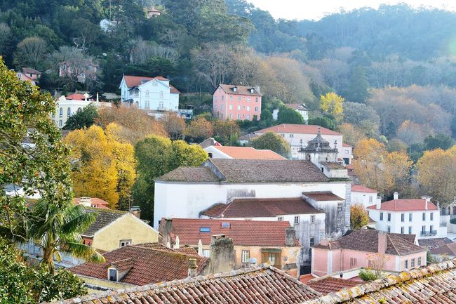 色づきのシントラ