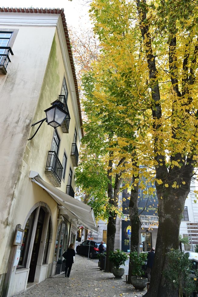 すっかり色づいた路地