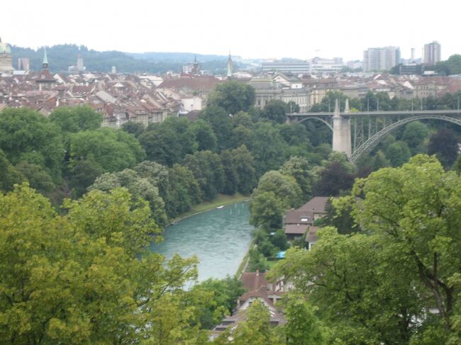 　バラ公園は、市街を一望する高台にあるため、眺望はグッドです。