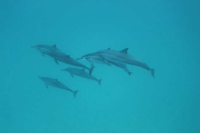 いた〜！！！ 感動〜！！