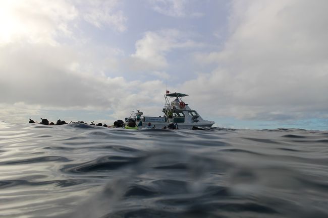 念願のイルカを探して船から海へダ〜イブ！<br /><br /><br />が！！！<br />探しても探してもなかなかいない〜<br /><br />場所を移動して仕切り直し〜<br /><br />次のピンポイントへ到着し、また船からダ〜イブ！！<br /><br />クルーのLook down! Look down!と言う声で、、海を見ると。。