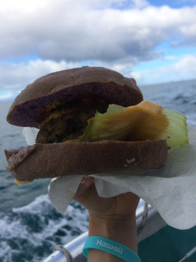 野生のイルカ、ウミガメと泳いで大満足した後は、、<br /><br />みんなが遊んでいる間にキャプテンが船上でバーガーを焼いてくれて、ランチにみんなでナチュラルビーフのチーズバーガーを頂きました。