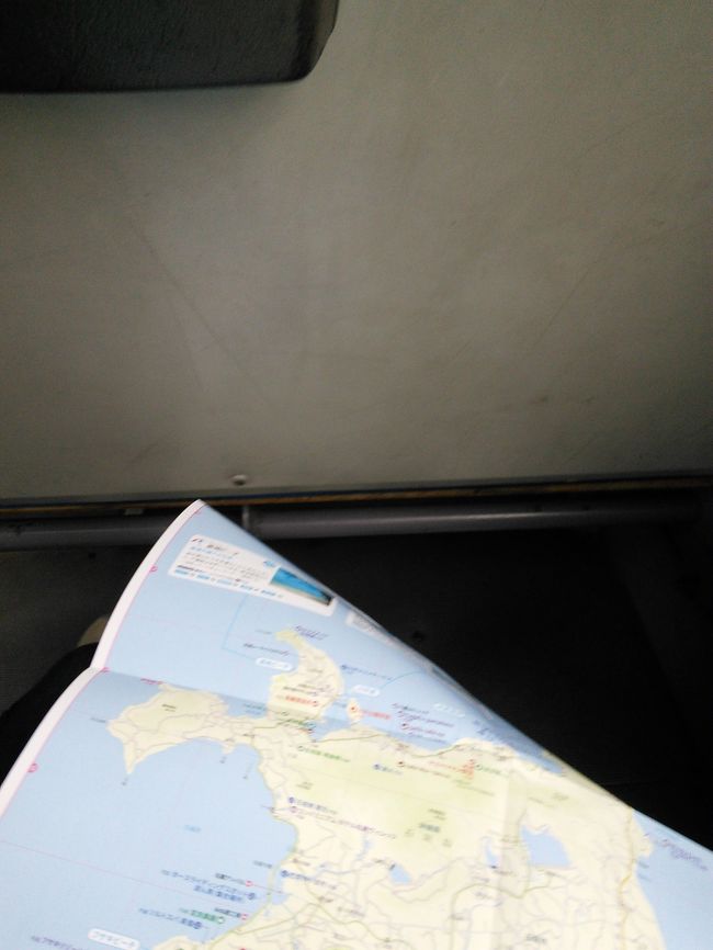 二日目。<br /><br />外を見たら天気が悪く、雨がふっていました。<br />悩んだけれど、せっかくだし･･･ということで<br />川平湾に行ってみることにしました。<br />バスターミナルからリゾート線に乗ります。