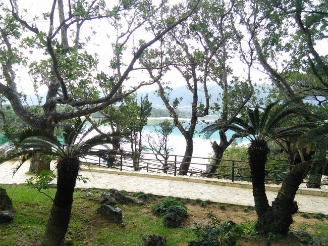 遊歩道が整備されています。