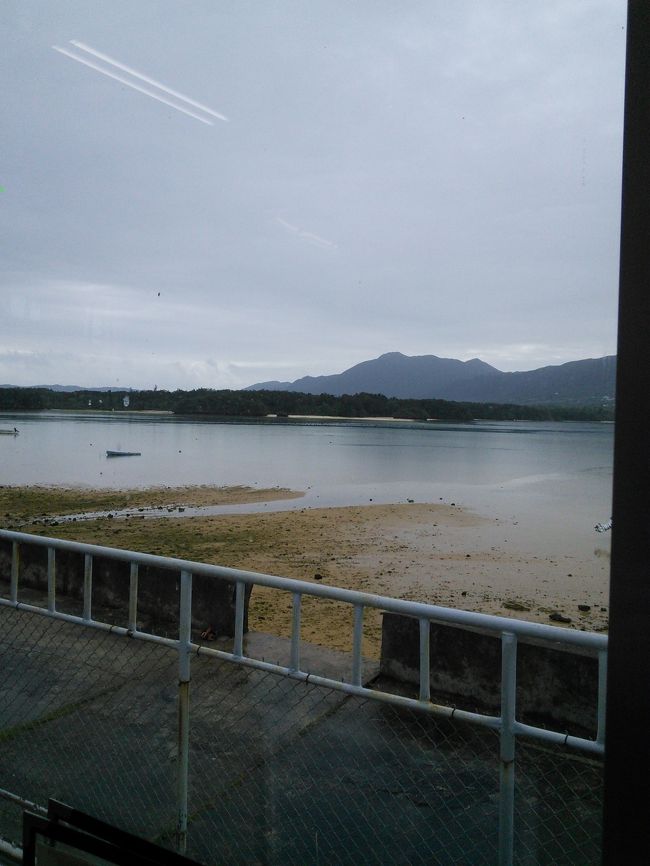 オーシャンビューの席で、Wi-Fiも使えました。