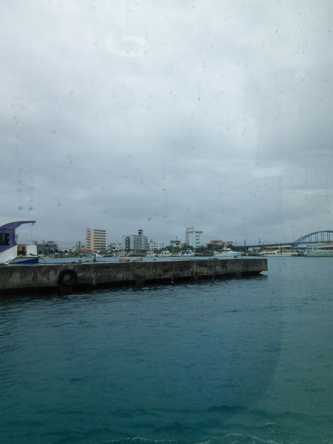 思いきって、小浜島へ出発!!<br /><br />その前にちょっとホテルに戻り、スポーツウエアに着替えました。<br />小浜島でもサイクリングしようと思っているので。<br /><br />川平湾で雨の中を歩いたら、服がシットリして気持ち悪い･･･