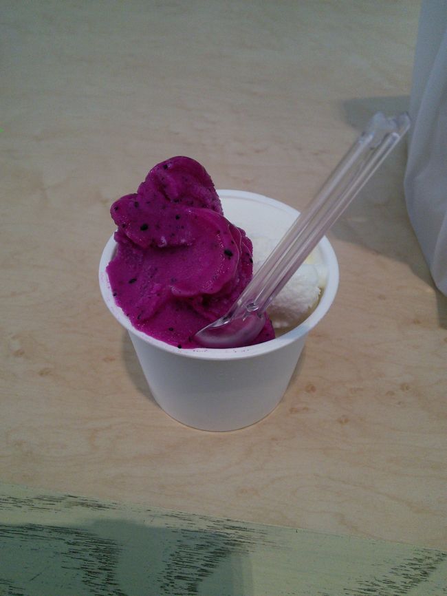 翌日。<br /><br />午後の便で帰るので、午前中はマックスバリュへ。<br />行きは歩いて、帰りはバスにしました。<br />おみやげの食品を色々買いました。<br /><br />そして、空港でまたミルミル本舗のアイスを食べました。<br />一緒に買った「石垣牛バーガー」がとてもおいしかったです。