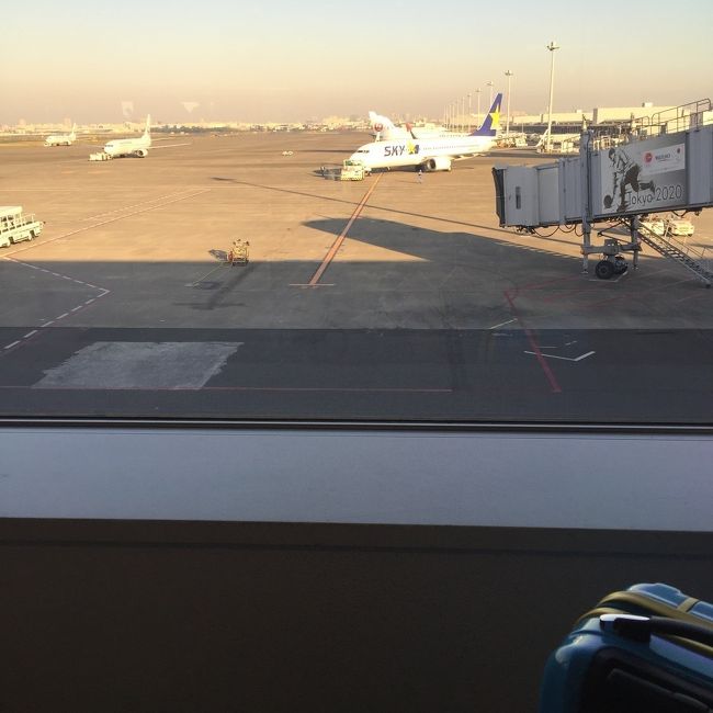 久しぶりの羽田にワクワクしました（笑）