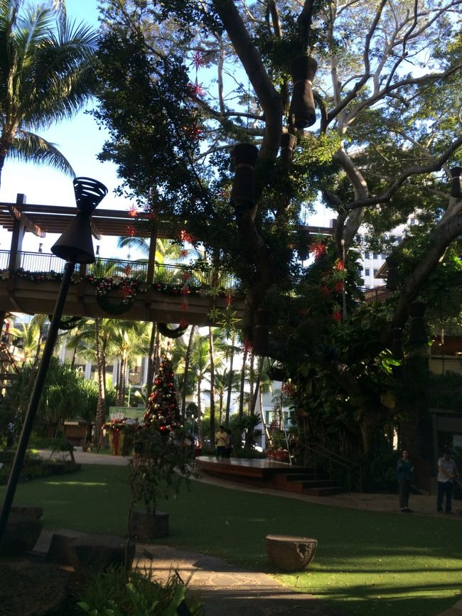 娘ちん早く泳ぎたいところですが、、<br />とりあえず調達しにいかないとね。。