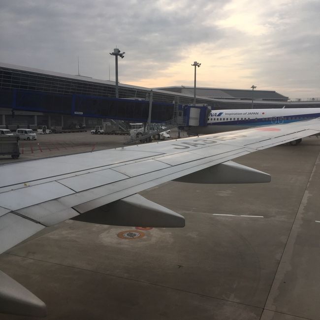 さあ、もう帰路です。<br />7時台の飛行機で羽田に帰ります。友人は小牧なので名古屋駅で既にお分かれしてます(__)