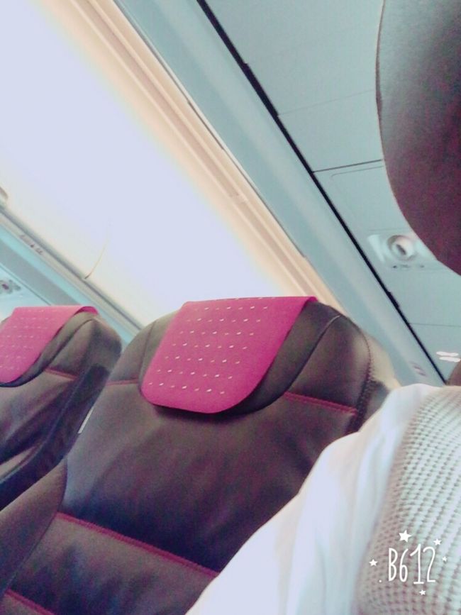 そして帰りの便はお久しぶりにこのシートでした。<br />まあ個人的には基本飛行機で爆睡してしまうのでシートの違いはよく分かりませんが何となくこっちの方が嬉しい（笑）<br /><br /><br />そんなこんなで寝てたら羽田着いてしまいました。<br />毎年の弾丸旅行も楽しいものです(´・∀・`)