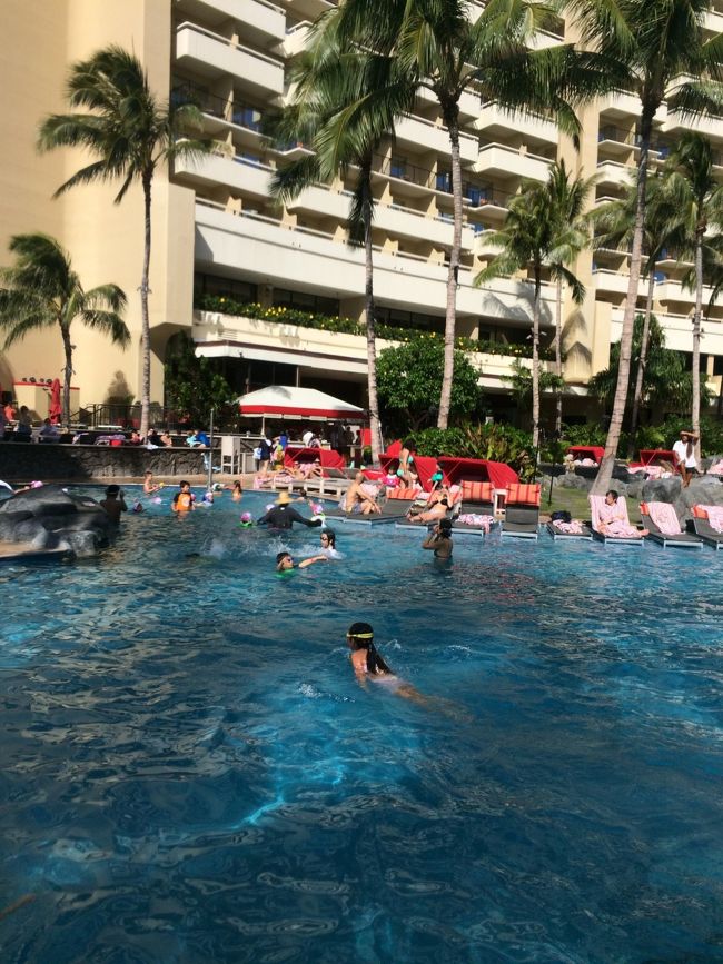 そしてまた泳ぐ。。