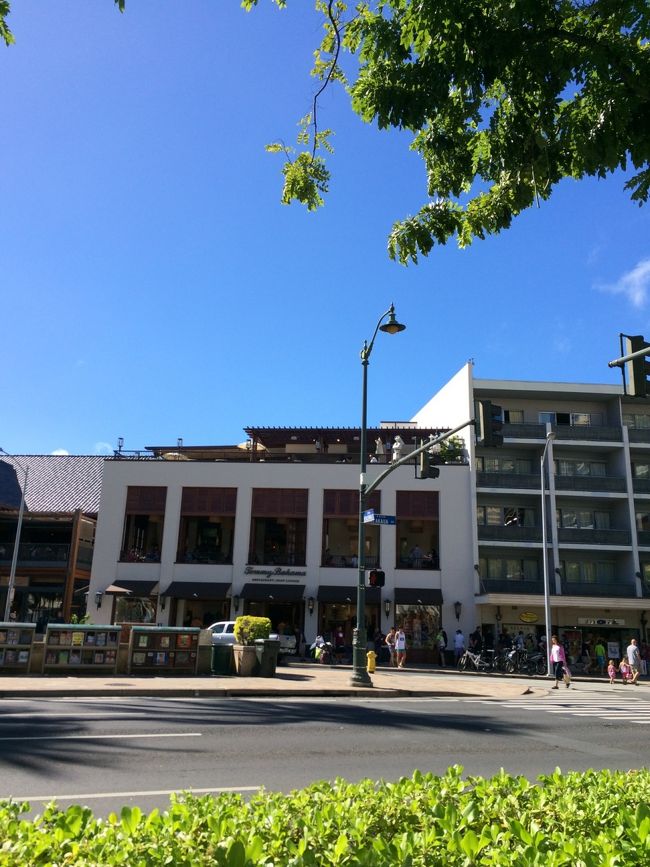 1年の間に続々新しいお店がOpen〜<br />