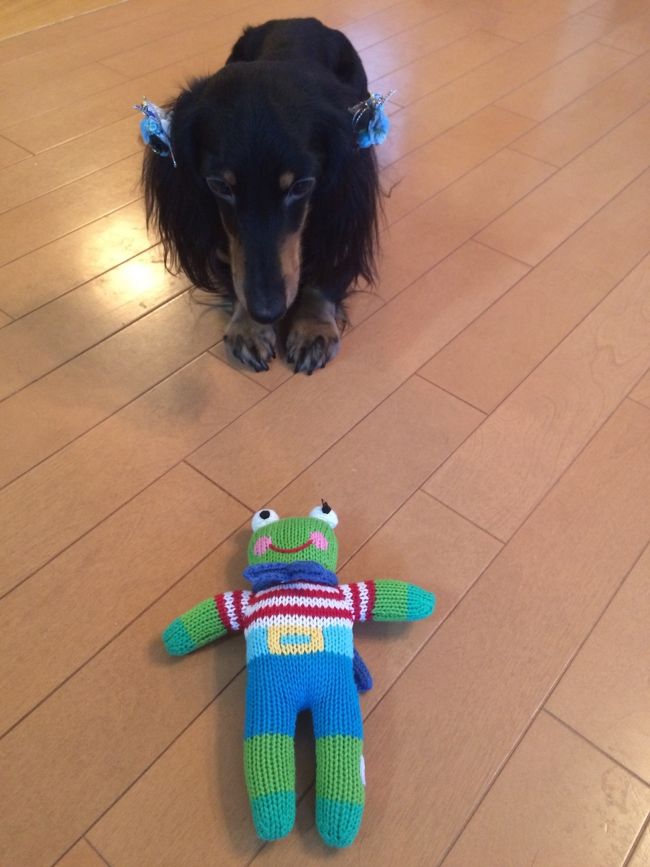 で。結局マカプウへのお土産はこれ。