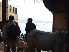 路地から路地を歩き遂にガンジス河が見えてきました。