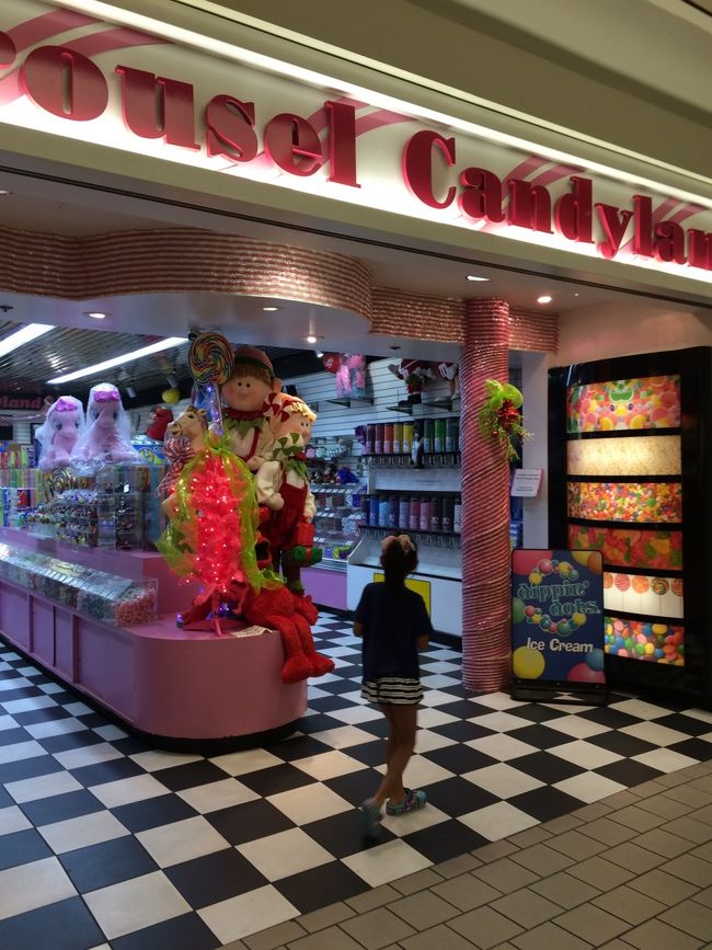 ここは娘も見たがるでしょ！