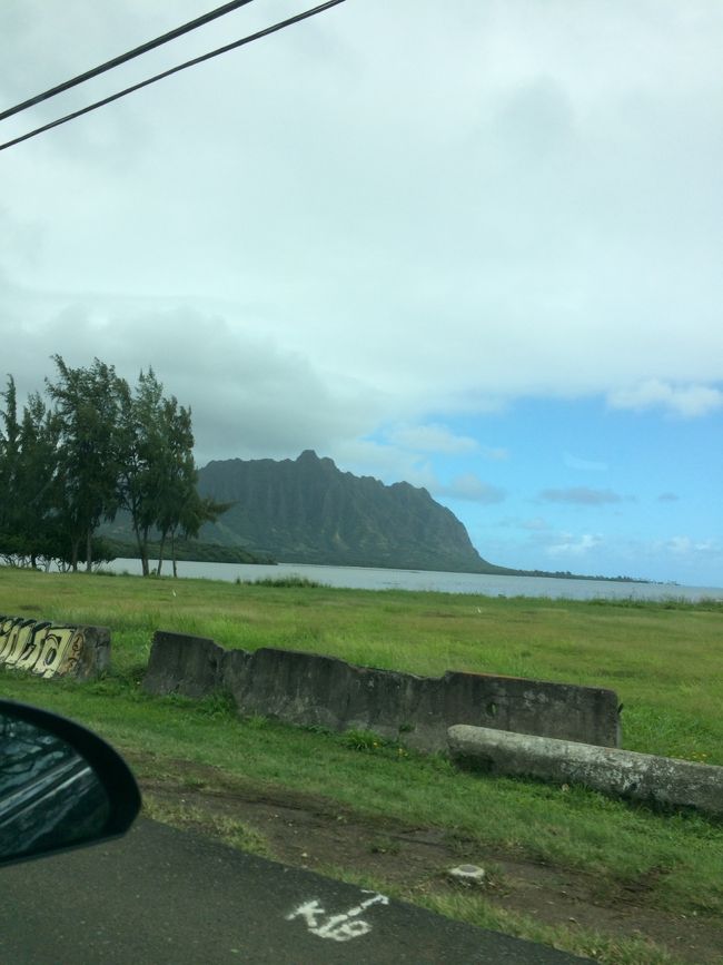 お！ 見えてきました。