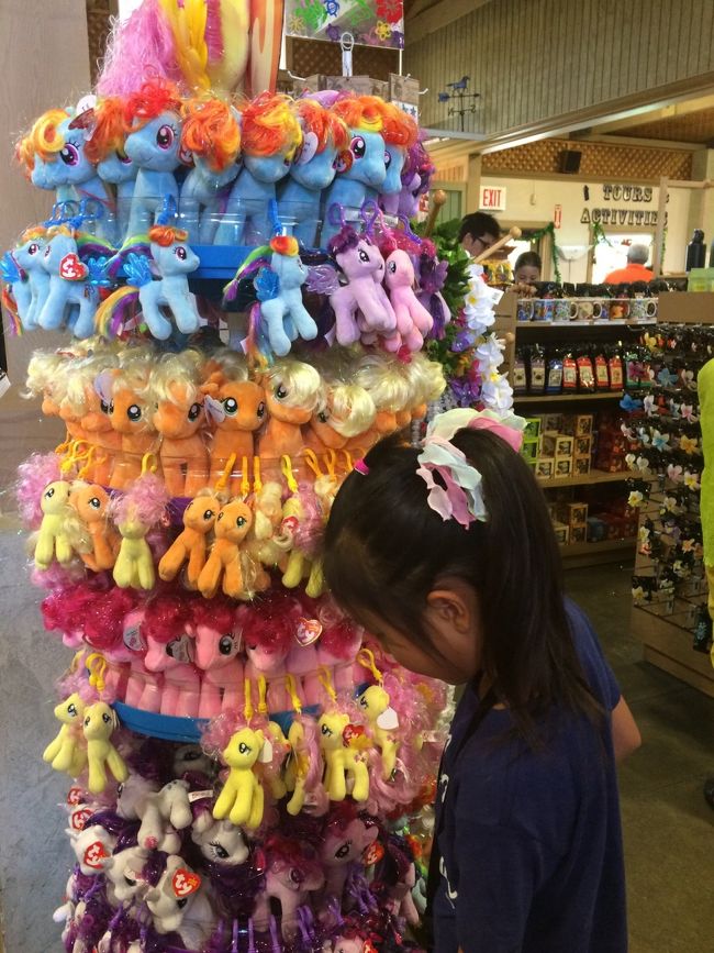 帰りにお小遣いでポニーを。