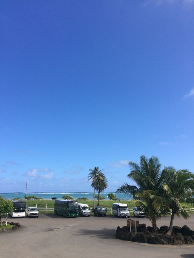 いい天気〜<br /><br />ワイキキへ戻ります。