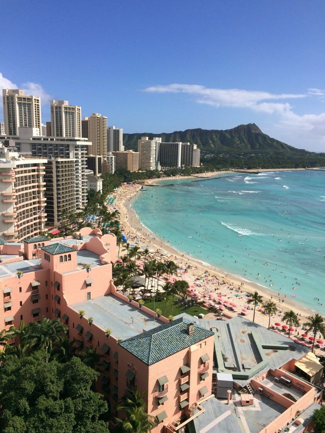 午後もプール日和<br /><br />あっという間にいなくなった