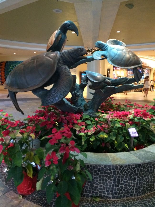 そろそろ父娘もPoolタイム終了の時間なので、ホテルへ戻ります。