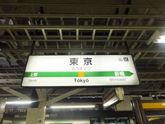 お腹もいっぱいになって東京駅に無事に戻りました。