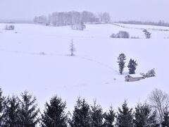 新栄の丘から見た、赤い屋根のある丘も素敵な雪景色に包まれていまして、赤い屋根の家の存在もすっかり影を潜めていました
ただ、このあたりでも結構雪が降っていまして、遠くの丘の風景もすっかりと霞んでしまっていましたね、ちょっと残念...