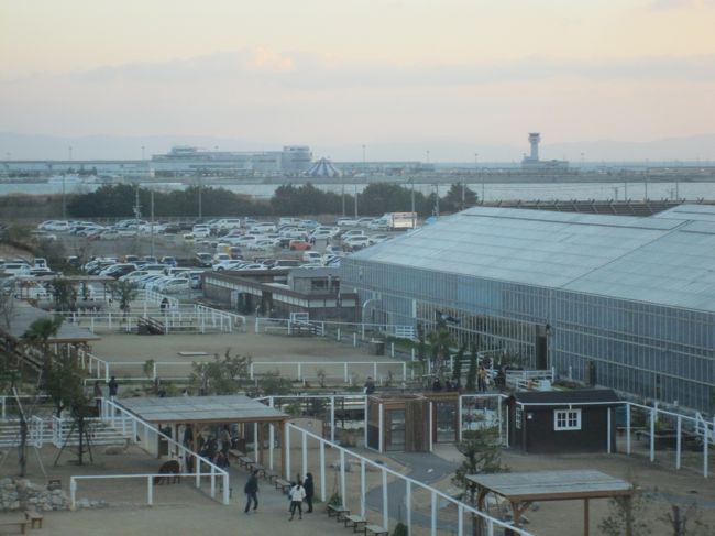 最終日　１月１０日（日）<br />那覇より無事伊丹に到着<br />・・・と言いたいところだが<br />