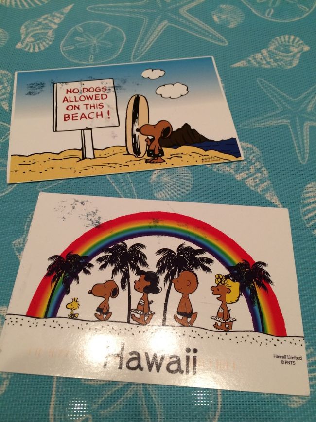 2週間後無事に届きました。