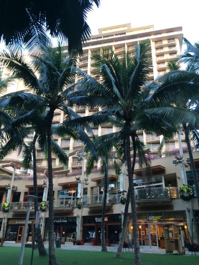 いつも滞在中、一度はのんびり朝ごはんに行くんだけど、、<br /><br />パパはサーフライダーのザ・ベランダがお気に入り。<br /><br />でも、今回は新しいところへ行ってみたくて。。