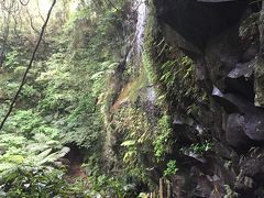 こちらは裏見ヶ滝
近くに水着で入れる露天風呂があります
私はこのお風呂が一番好きかも