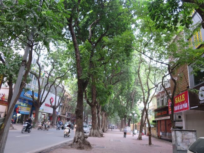 引き続きファンディンフン通りを進む。<br />この辺りまでは良かったが、ここからタンロン遺跡への道筋がわからない。「歩き方」の地図は微妙なところで切れているし、ホテルでもらった地図も明確な表示がない。政府機関の多い地域なので、あえて詳細な地図を載せていないのかもしれない。<br />通行人の５人ほどに道を尋ねたが、誰も”タンロン”という名前すら知らない。地図を見せても首をかしげるばかり。てんでバラバラの方向を指さす。<br />ベトナム人は英語が通じない、地図が読めない。